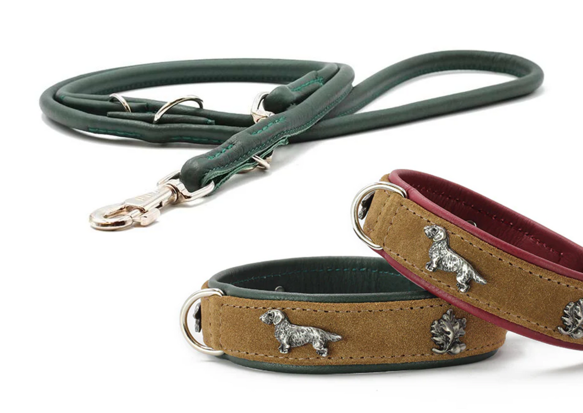 Halsband & Leine Dackel Wildleder